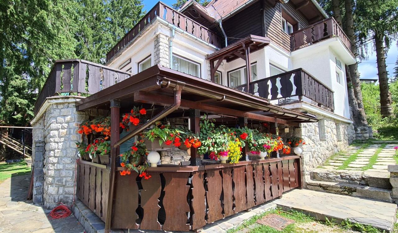 Vila Filip Predeal Exterior foto