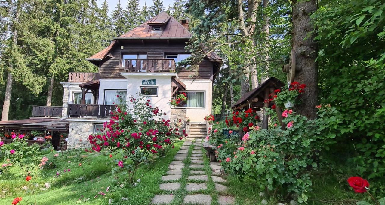 Vila Filip Predeal Exterior foto